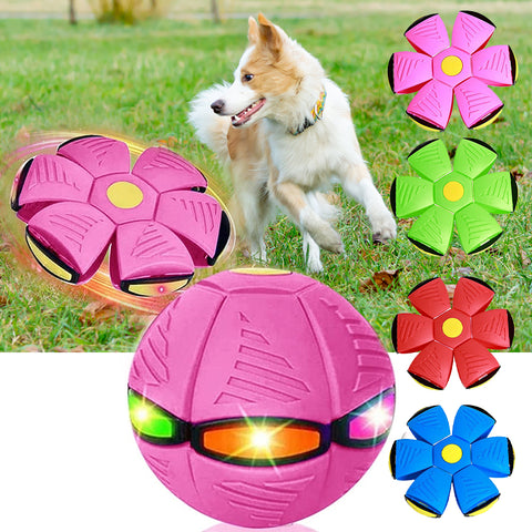 Pet Toy Flying Saucer Ball for Dogs with Light