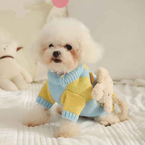 Pet Sweater with Bear Doll