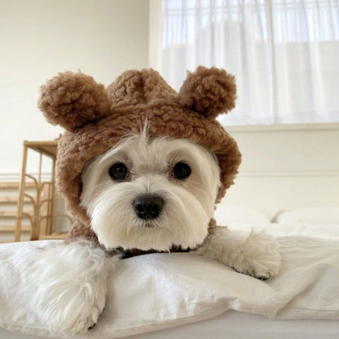 Fleece Bear Print Hooded Coat