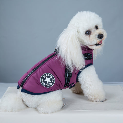 Waterproof Dog Coat With Harness