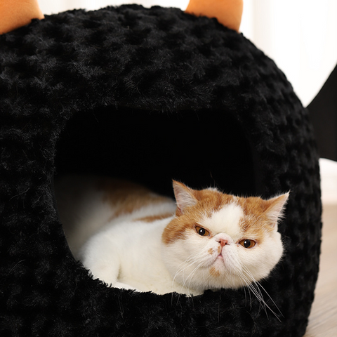 Demon Cat & Dog House