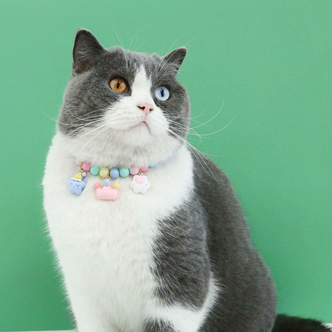 Pet Macaroon Necklace Accessories