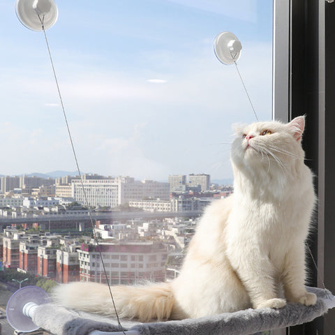 Cat Hammock Window Seat BF-DT020