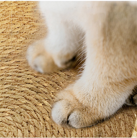 Four Seasons Woven Cat Bed