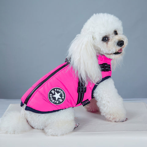 Waterproof Dog Coat With Harness