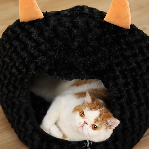 Demon Cat & Dog House