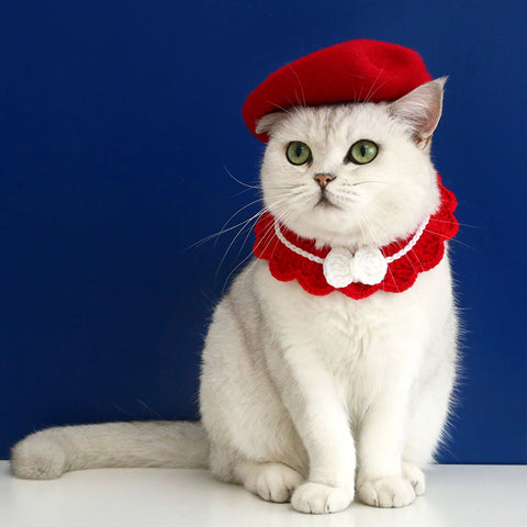 Beret Accessory Costume