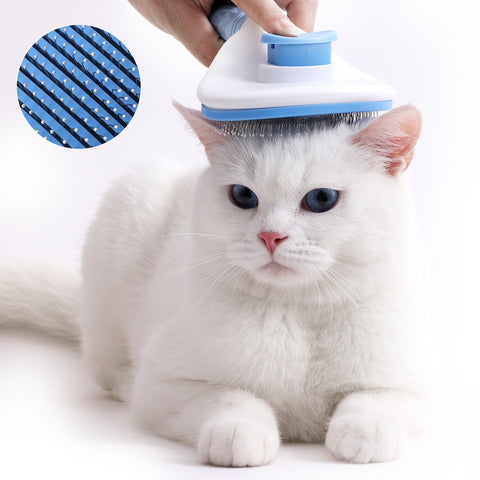 Pet Hair Brush & Razor