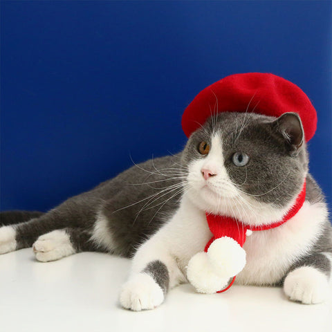 Beret Accessory Costume