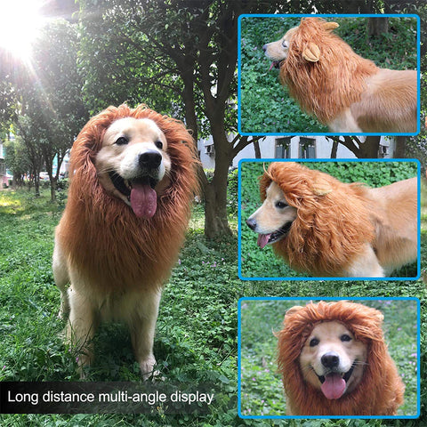 Lion Mane for Dogs