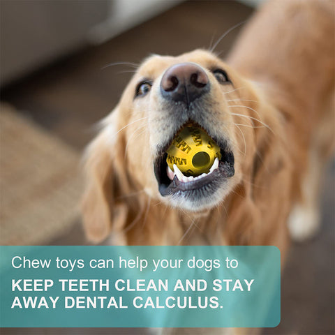 Teeth Cleaning Chew Interactive Dog Toy