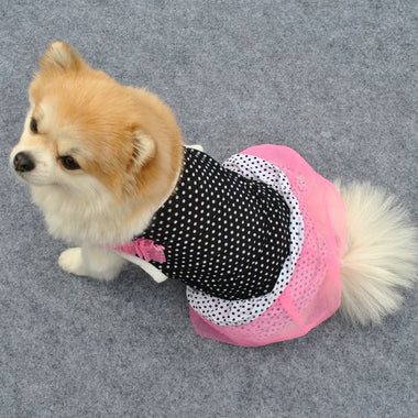 Polka Dot Mesh Dog Dress