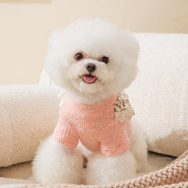 Bow Lace Knitted Two-legged Pet Sweater