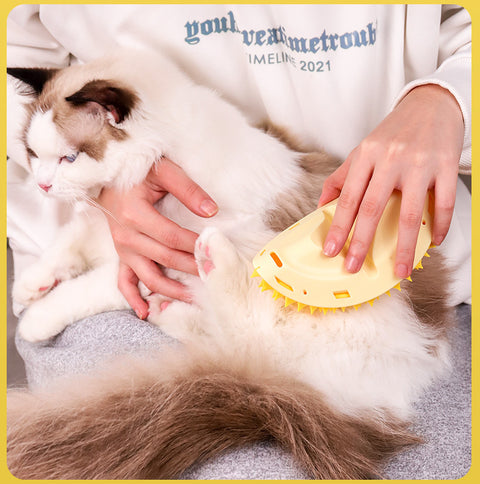 Multifunctional Cat Massager Brush Scratcher Toy