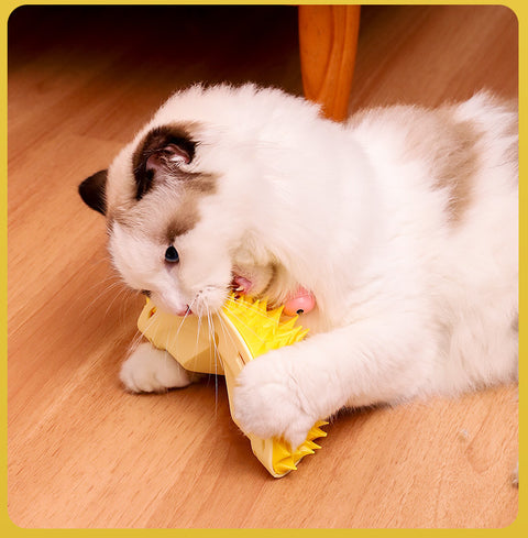 Multifunctional Cat Massager Brush Scratcher Toy