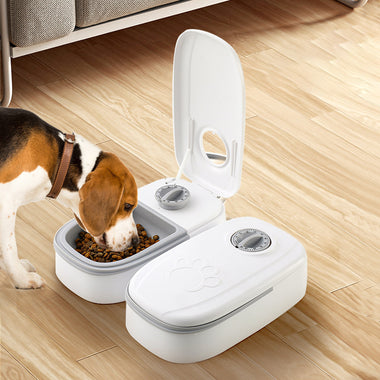 With Ice Pack Automatic Pet Feeder