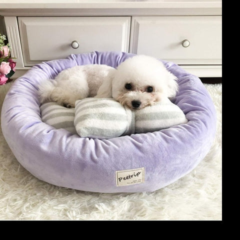 Plush Donut Pet Bed with Pillow