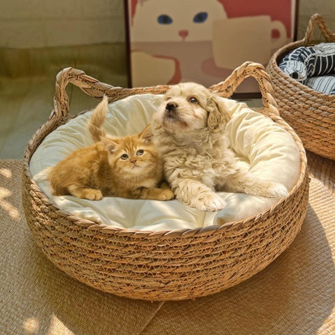Four Seasons Woven Cat Bed
