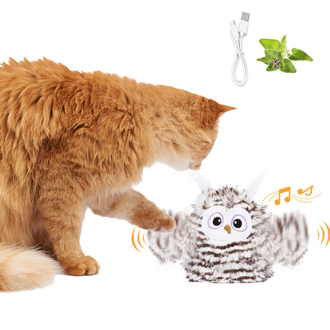 Interactive Squeaker Owl Cat Toy