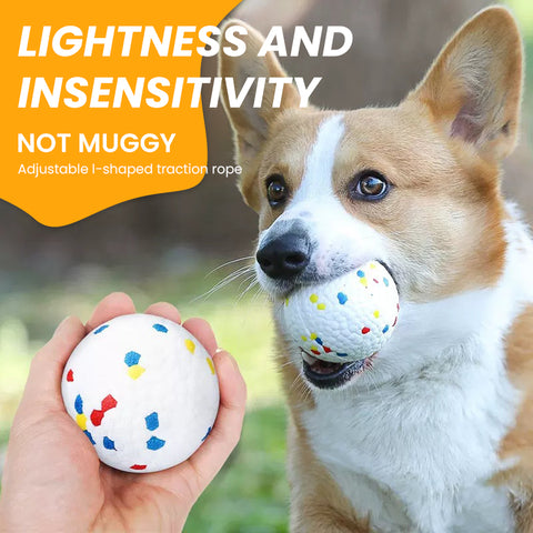 Interactive Bouncy Jolly Ball Dog Toys