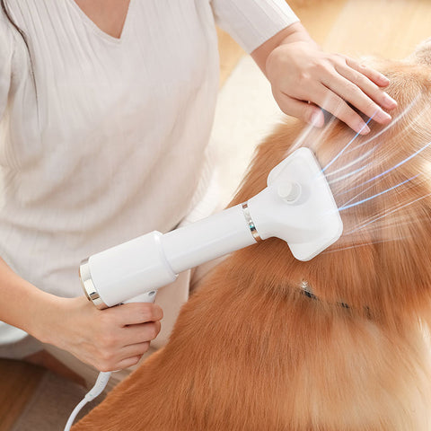 3 in 1 Pet Hair Dryer Brush