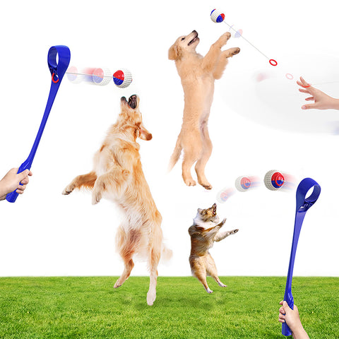 3-IN-1 Throwing Stick Outdoor Interactive Ball Dog Pet