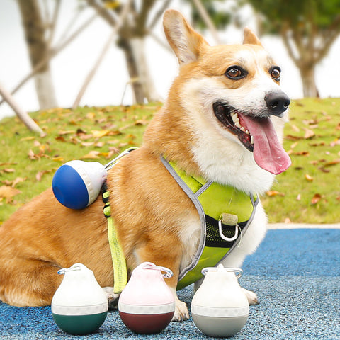 Portable Pet Water Bottle Outdoor