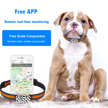 Smart Pet GPS Tracker Collar