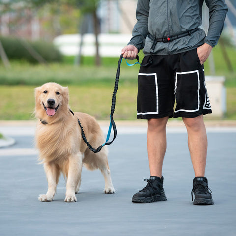 Retractable Hands-Free Traction Rope Dog Walking