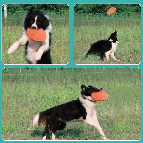 Flying Disc Dog Toys Pet Training Outdoor