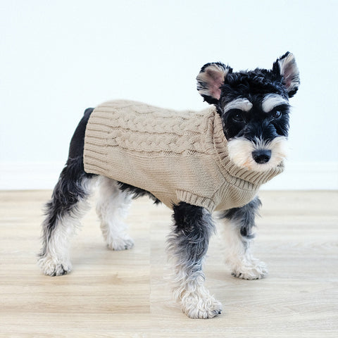 Turtleneck Pullover Pet Sweater