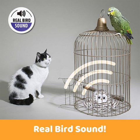 Interactive Squeaker Owl Cat Toy