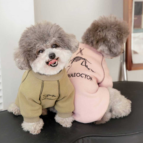 Embroidered Pet Sweatshirt