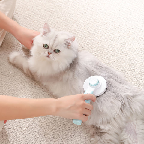 Easy 2 in 1 Pet Hair Brush & Nail Grinder