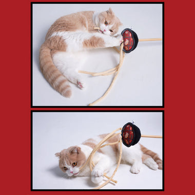 Delicious Food Cat Toy Wand