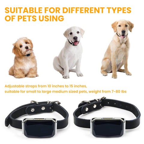 Smart Pet GPS Tracker Collar