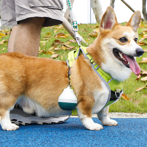 Portable Pet Water Bottle Outdoor