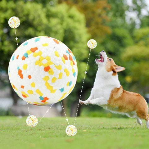 Interactive Bouncy Jolly Ball Dog Toys