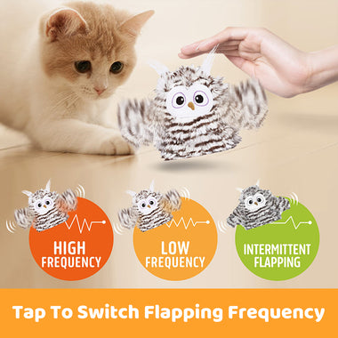 Interactive Squeaker Owl Cat Toy