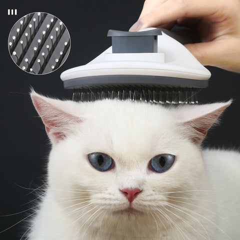 Pet Hair Brush & Razor