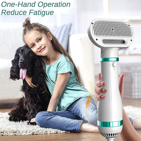 UPGRADE 2 in 1 Pet Hair Dryer Brush GC-D1