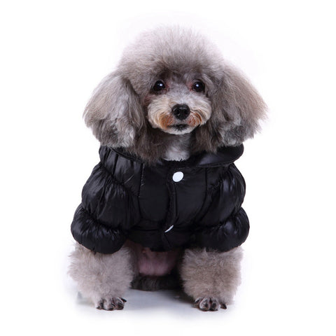 Dog Down Jacket