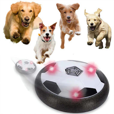 Electric Interactive Smart Ball Dog Toys LED Lights