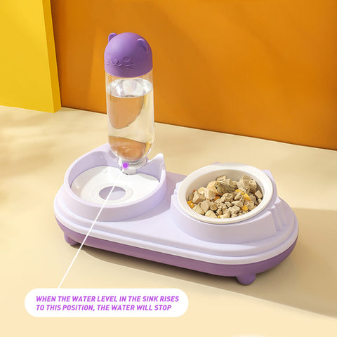 Pet Water & Food Feeder