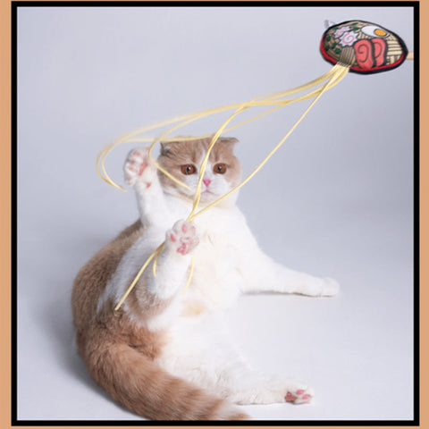 Delicious Food Cat Toy Wand