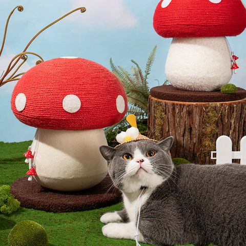 Mushroom Cat Scratcher