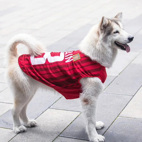 Pet Vest T-shirt