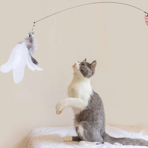 Interactive Sucker Feather Cat Toys Stick