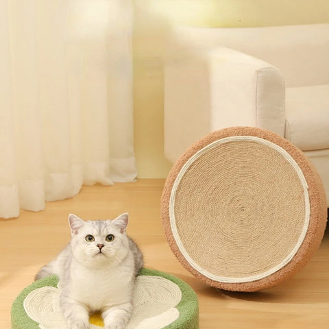 Cat Scratching Board