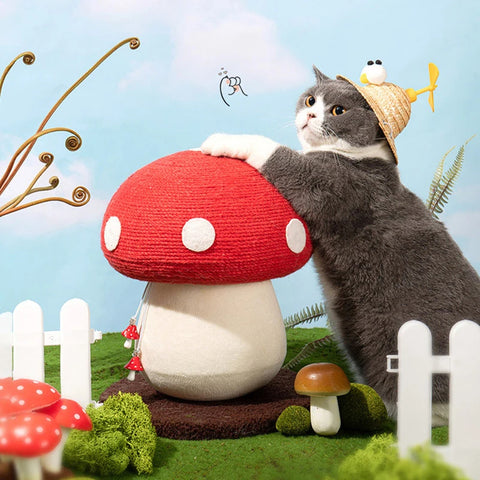 Mushroom Cat Scratcher